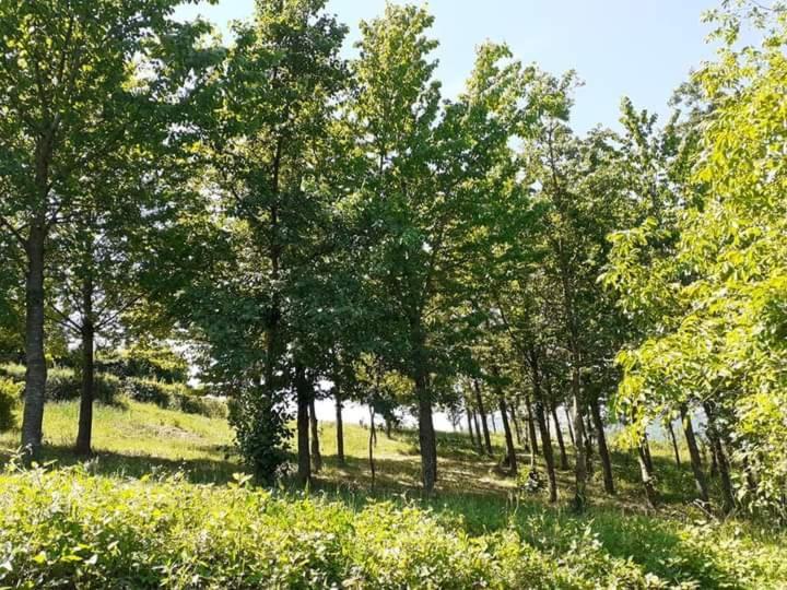 Apartamento Ai Boschi Ozzano dell'Emilia Exterior foto