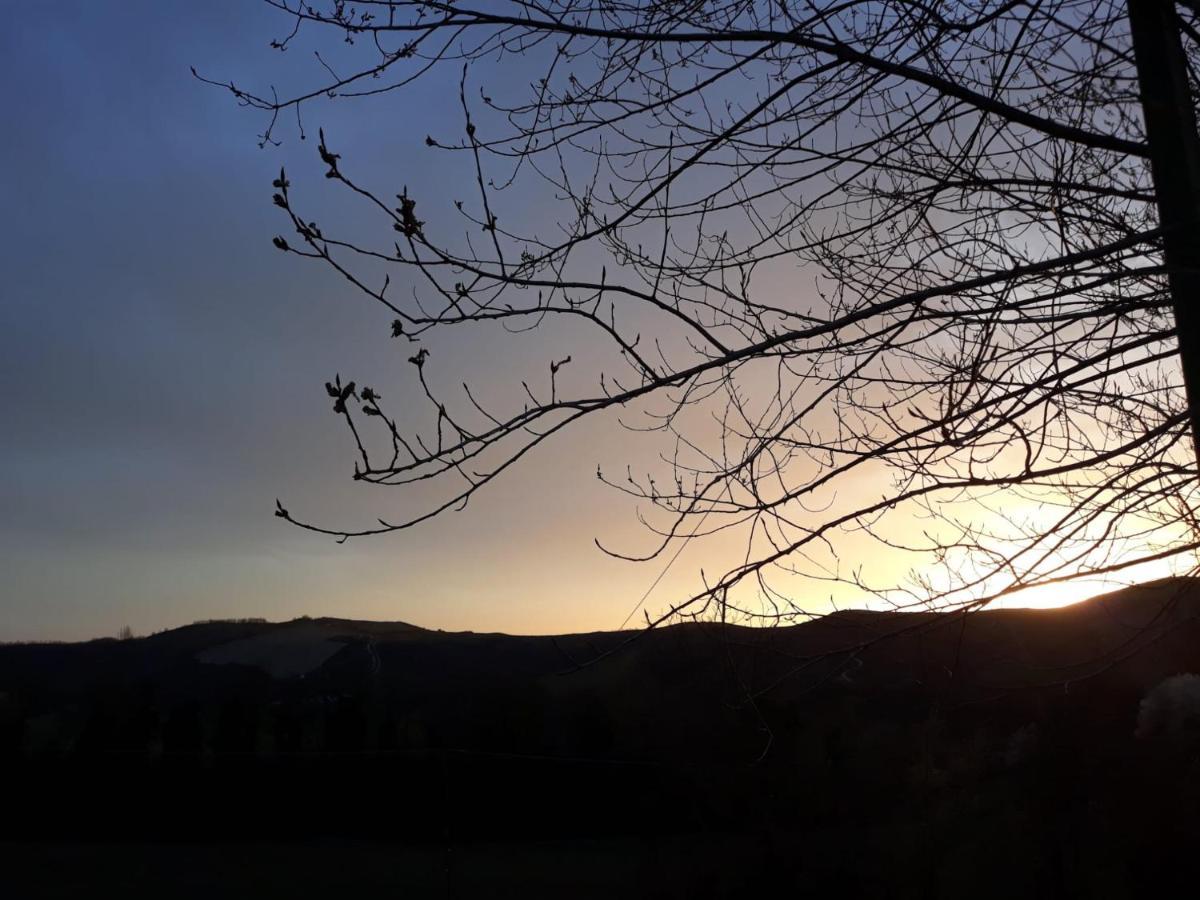 Apartamento Ai Boschi Ozzano dell'Emilia Exterior foto