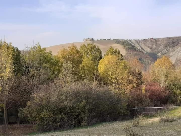 Apartamento Ai Boschi Ozzano dell'Emilia Exterior foto
