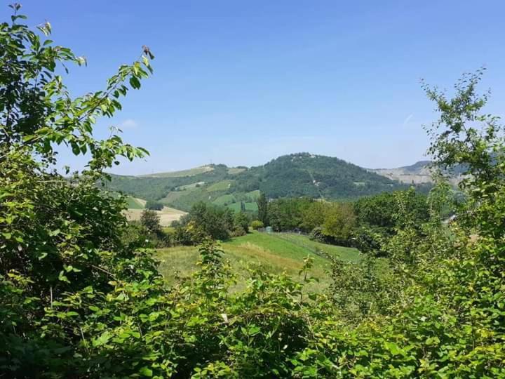 Apartamento Ai Boschi Ozzano dell'Emilia Exterior foto