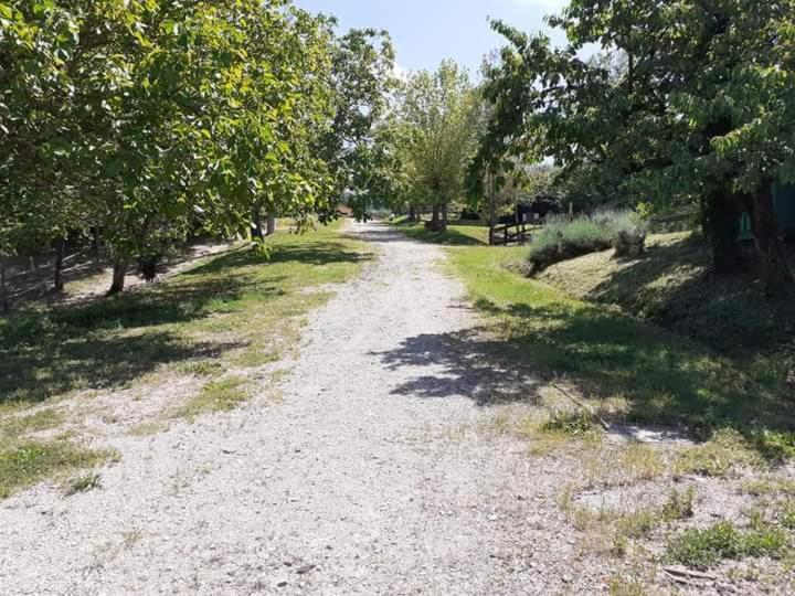 Apartamento Ai Boschi Ozzano dell'Emilia Exterior foto